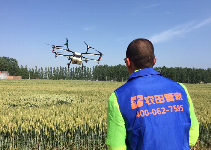 决战条锈病,农田管家在山东为农民保驾护航