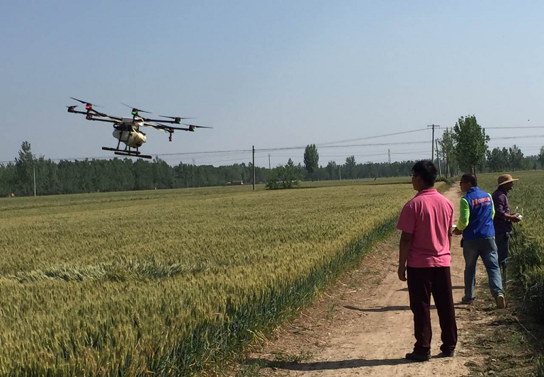 决战条锈病,农田管家在山东为农民保驾护航