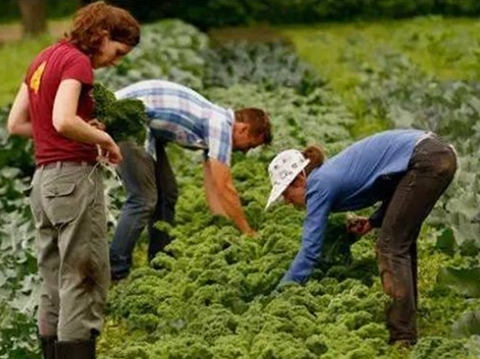 一带一路对我国农业的影响