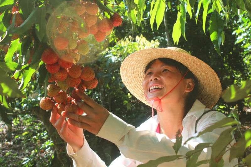 ʡ׼򼶵̷ƶĽӢʽҵӪ