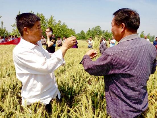 ƺСʾﳤϲˣũ˾䷽޲