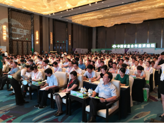 2017йũҵ̳ũҵֵ ɫ̬