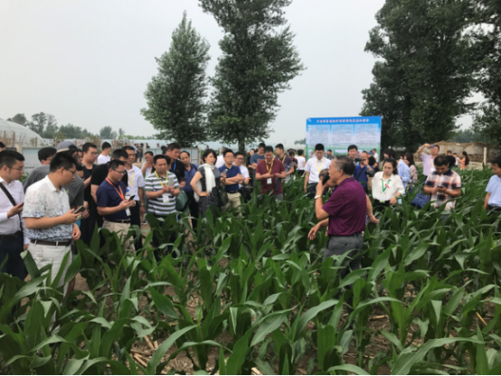 2017йũҵ̳ũҵֵ ɫ̬