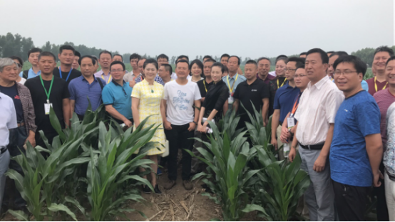 2017йũҵ̳ũҵֵ ɫ̬