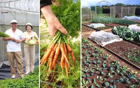 󰮳ǿعɣƶת ũҵɳչ