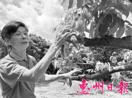 ֦ϵĸӱݻݶ¬Ҹߵ·