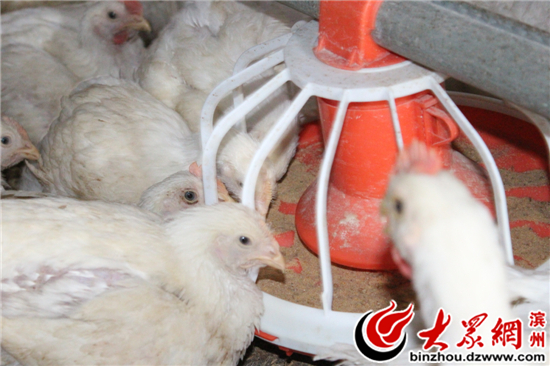 Ծҵ¸Ůִ⼦ֳҵ¸·