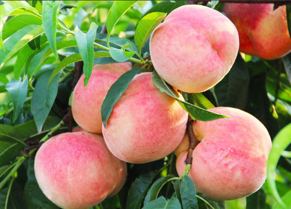 ʱȫһῪĻڼϷ̨ݴ!