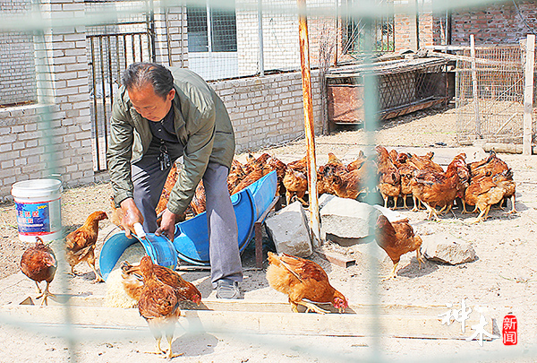 黄治林:发展种养带领村民脱贫致富