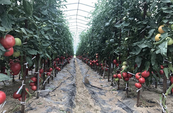 йũ-˾ز䷽ʩоʾ԰