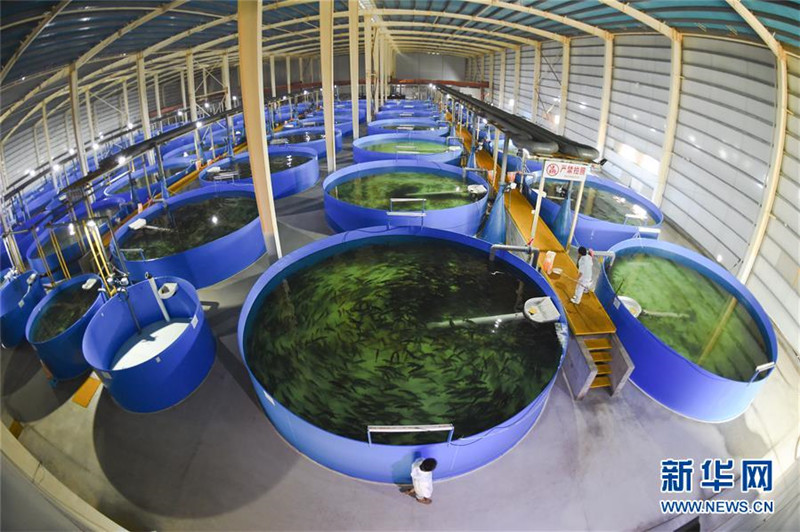 Ϊũҵũ巢չ¶ܡҹƽũҵṹԸĸ