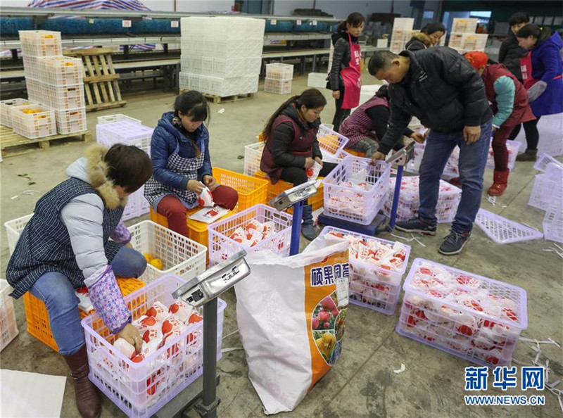 Ϊũҵũ巢չ¶ܡҹƽũҵṹԸĸ