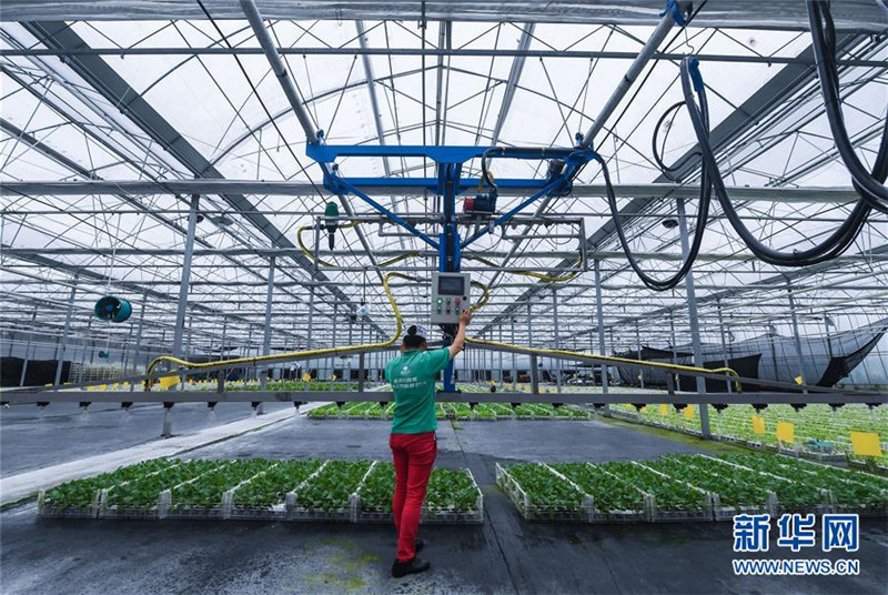 Ϊũҵũ巢չ¶ܡҹƽũҵṹԸĸ