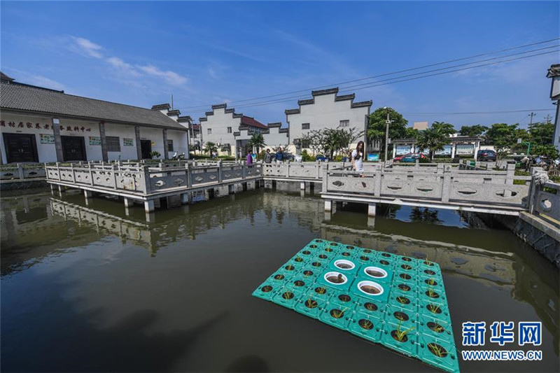 Ϊũҵũ巢չ¶ܡҹƽũҵṹԸĸ