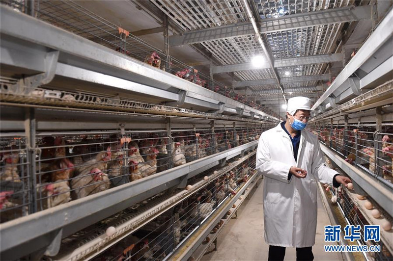 Ϊũҵũ巢չ¶ܡҹƽũҵṹԸĸ