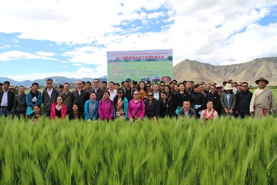 西藏青稞高产创建植保新技术培训活动在日喀则举行