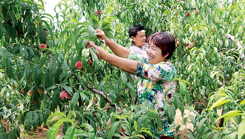 ׯ򣺴չɫũƷ ũ¸·