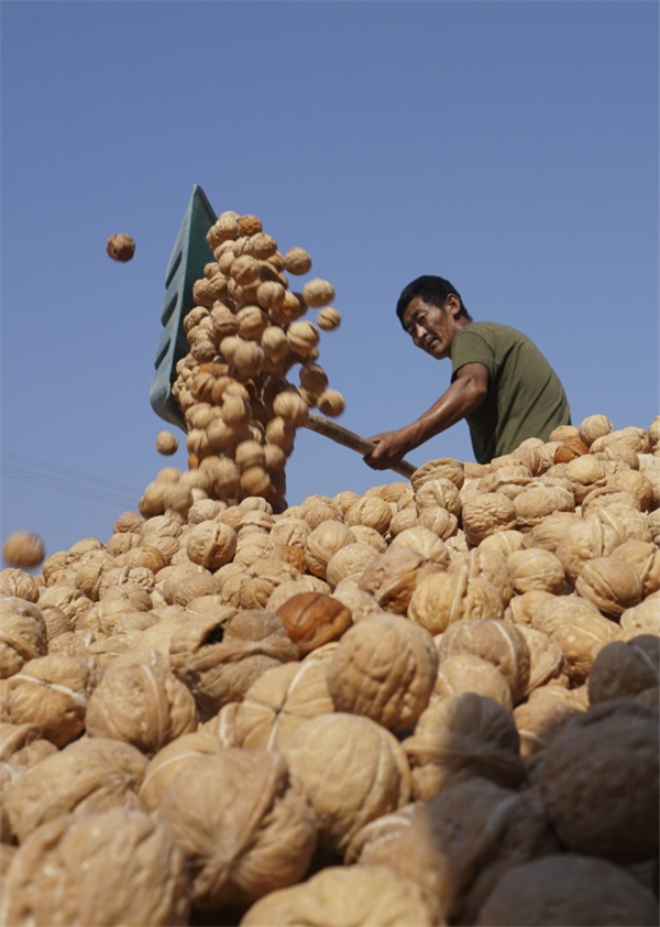 97գӱʡжկһũɸѡҡ