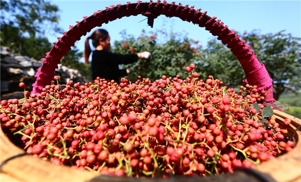 97գɽʡׯɽͤɽǽֵ壬һũڲժ