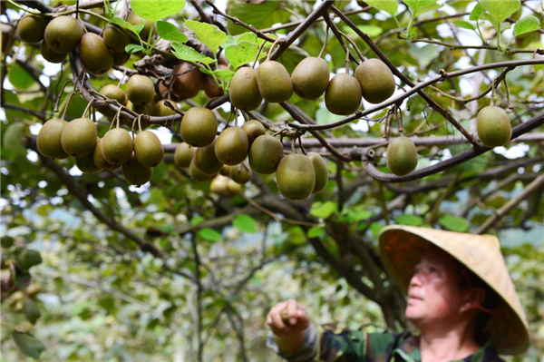 97գڹʡ⨺ֲأһֲڲ⨺ҡ