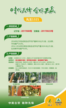 ʱȷ棬Ӯ- 17/18ȷƷڳʤٿ