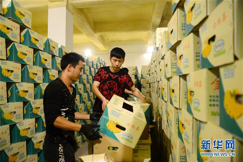 ӱ·صӱ߱ꡪ㽶ķչ·ͼ