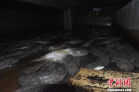 ϡ㡰ν ƫƧũ忪¸³·