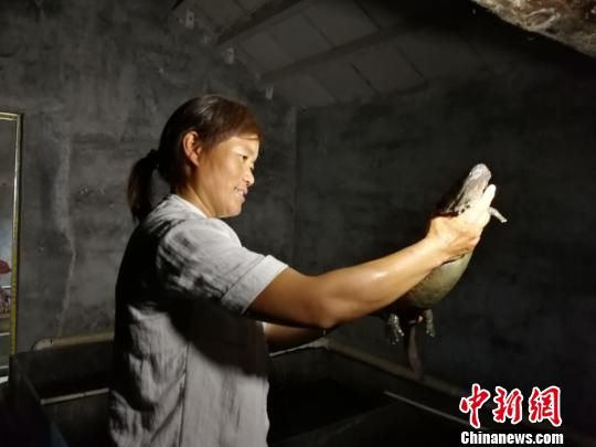 ϡ㡰ν ƫƧũ忪¸³·