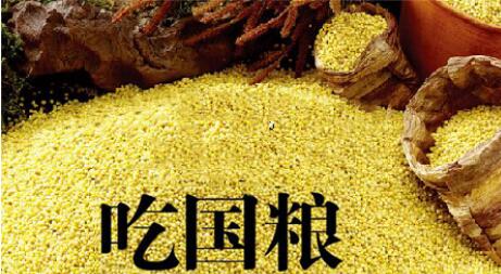 中国人的饭碗要装中国的粮食--让农民变成一种高大的职业