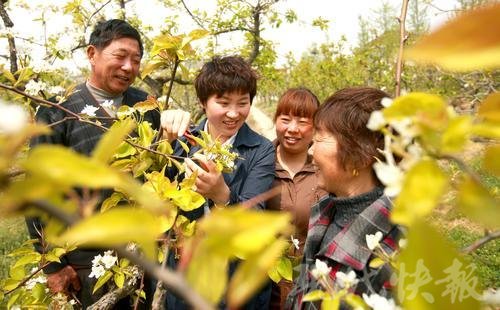 李晓霞:带领村民走上致富路