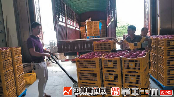 80󸵿ġũҵΡƷг Ϲ