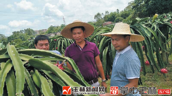 80󸵿ġũҵΡƷг Ϲ