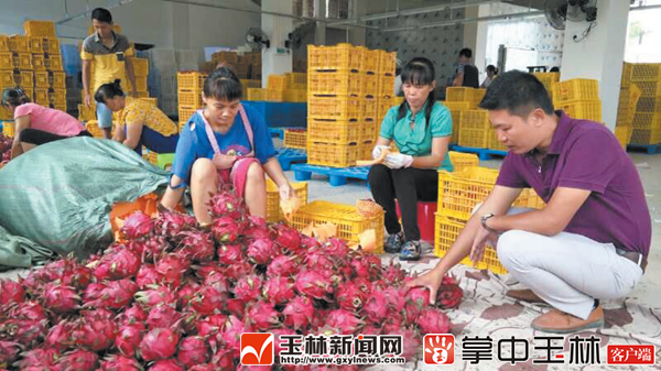 80󸵿ġũҵΡƷг Ϲ