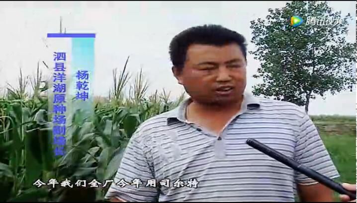 ز硢顢׺ԣҪʩʲ֢ܶҩ