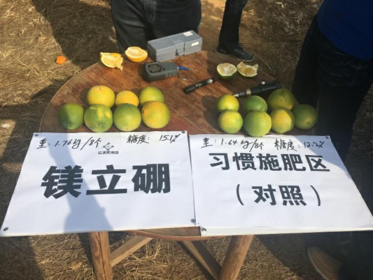 ƽÿĶ1200Ԫ 컯ԺһġʾЧ