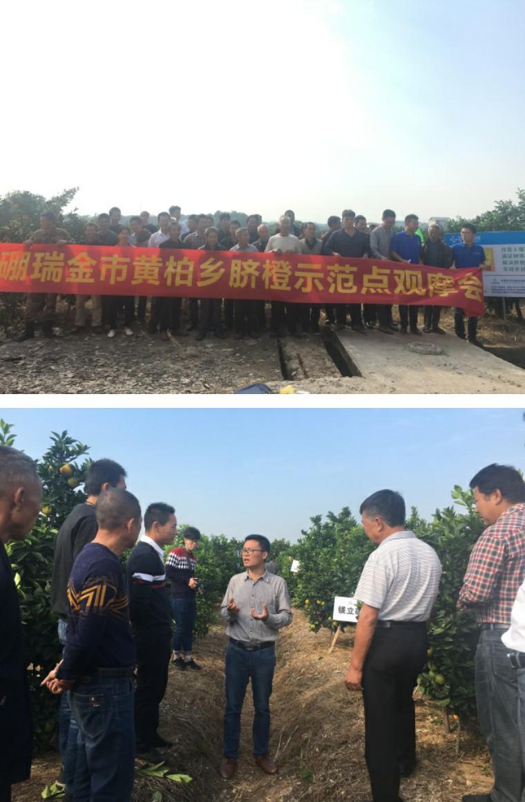 ƽÿĶ1200Ԫ 컯ԺһġʾЧ