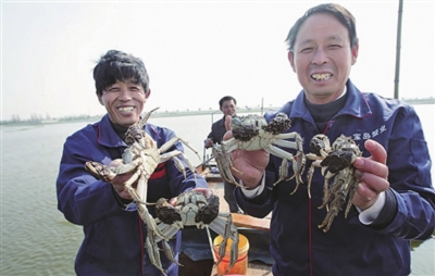 ԽԽԽԽ̬լСˮзĳɳ֮