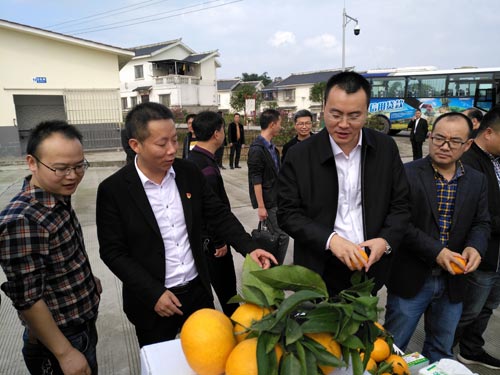 ͷ紴ҵ ̽۷մ뱼¸·