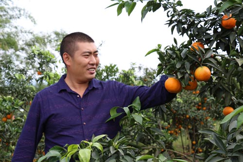 ͷ紴ҵ ̽۷մ뱼¸·