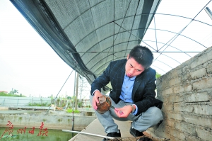 90㽭СΪũݹ곬6000ҵ