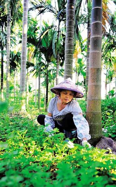 �����Ͳ�Ұ��Զ�����㻦