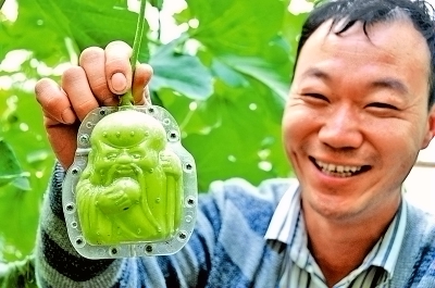 �����ڻ��أ������͡����Ч�淭��