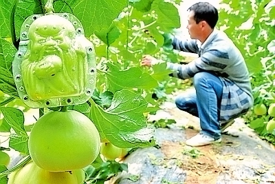 ���Ͳ�ͬ���������Ҳ��ͬ