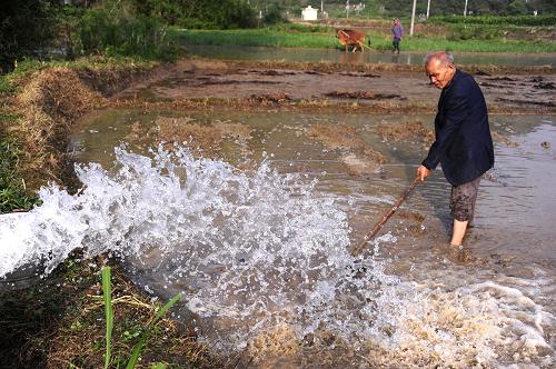 �����ӳ�ũ�񿹺�������