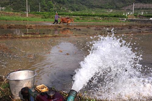 �����ӳ�ũ�񿹺�������2