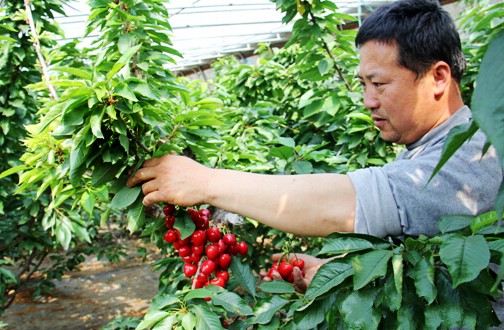 �ӱ�˳ƽ�����ɴ����ӣ�ҳ�Ϊ�����¸���Ǯ����