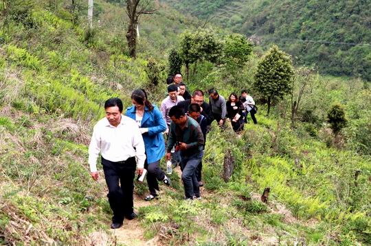 ������Ϫ��ͨ���ؿ����ŵ�����������ƻ���������ҵ