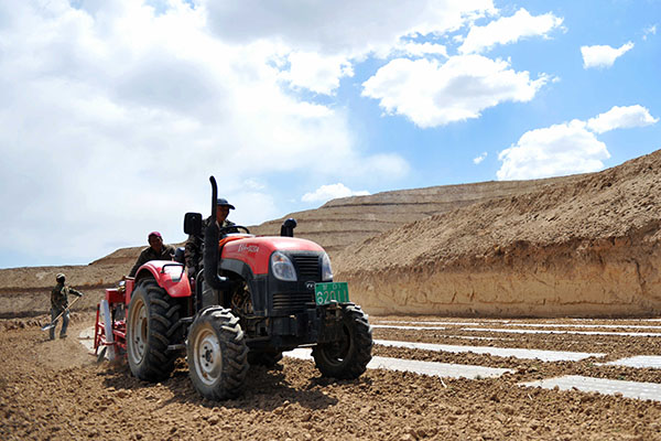 �������ǣ���ɽ�ǲݲ�ҵ����˫Ӯ��