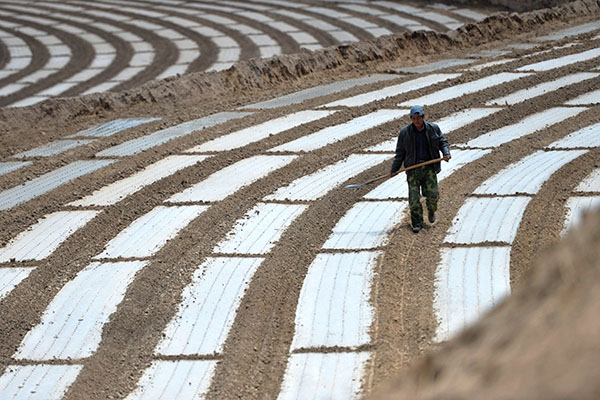 4��26�գ�����ʡ������ͨԶ��һ��ũ��Ӹո������ֲ����ޣ�����߹���