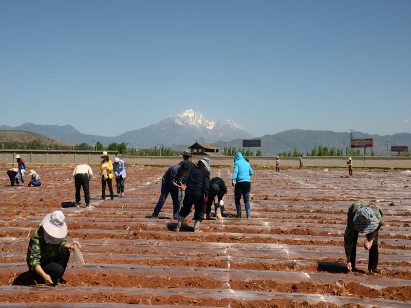 ��������������վ�ɲ�ְ��������ͷ����������